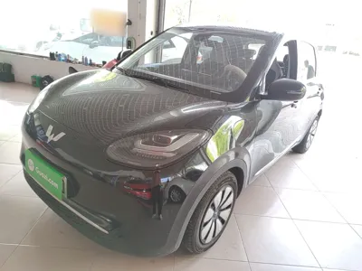 Wuling Bingo