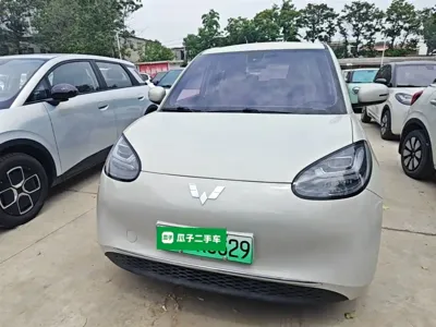 Wuling Bingo