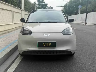 Wuling Bingo
