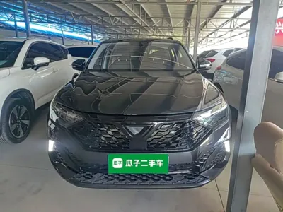 Jetta VS5