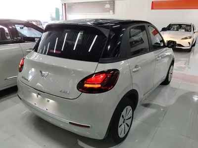Wuling Bingo