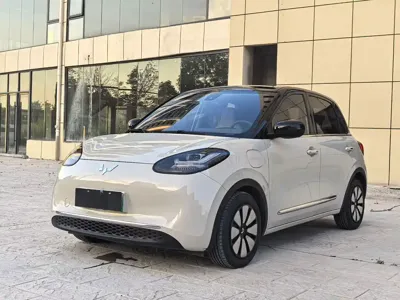 Wuling Bingo