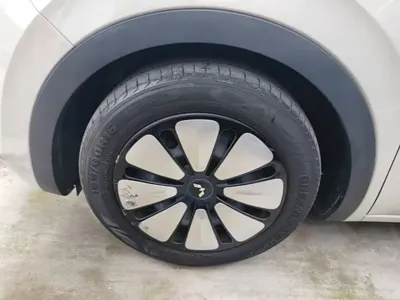 Wuling Bingo