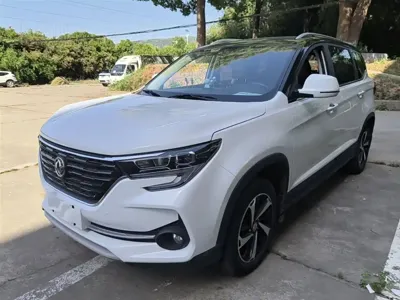 Fengxing Fengxing T5
