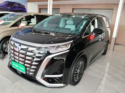 Denza Denza D9