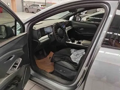 BYD L DM-i