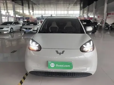 Wuling Bingo