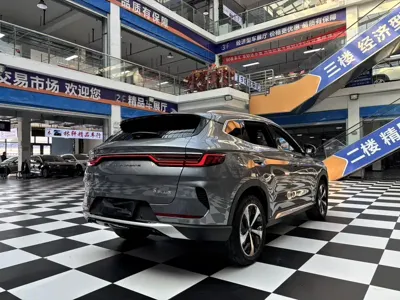 BYD PLUS New Energy