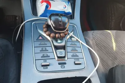 BYD Song MAX New Energy