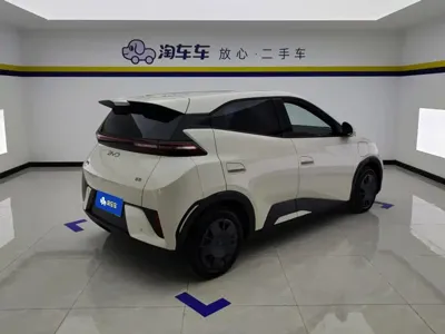 BYD Seagull