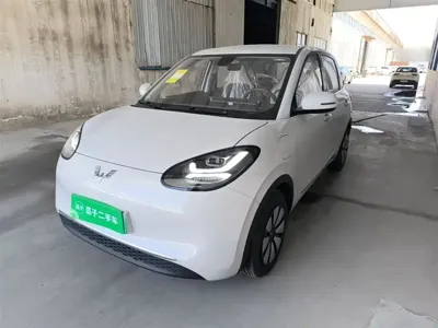 Wuling Bingo