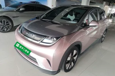 BYD Dolphin