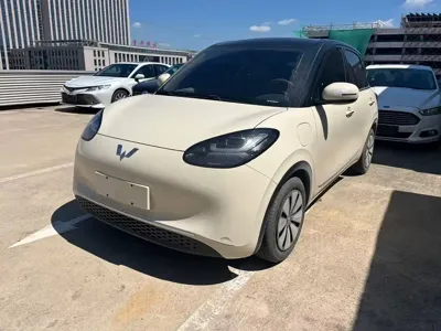 Wuling Bingo