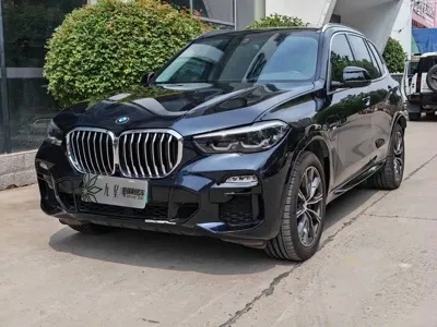 BMW X5 New Energy (Import)