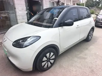 Wuling Bingo