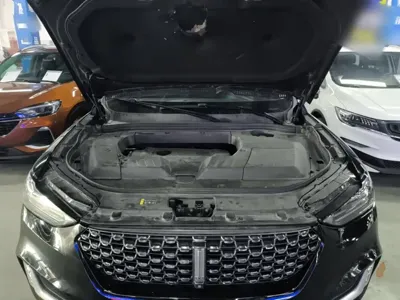 WEY Wey VV6