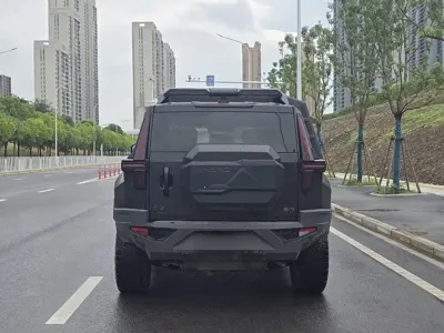 Mengshi Mengshi 917