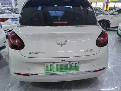 Wuling Bingo