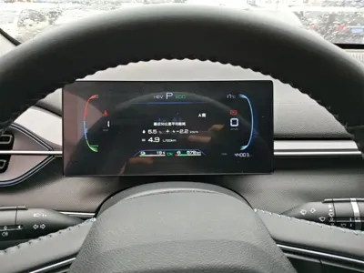 BYD Destroyer 05
