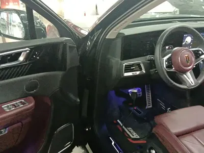 Hongqi Hongqi E-HS9