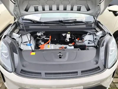 Wuling 缤果S
