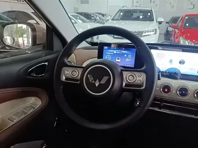Wuling Bingo