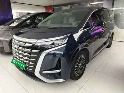 Denza Denza D9