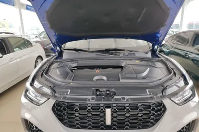 WEY VV5