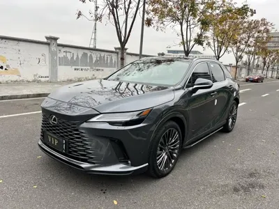 Lexus RX New Energy