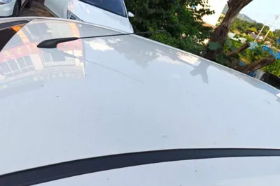Baojun 310
