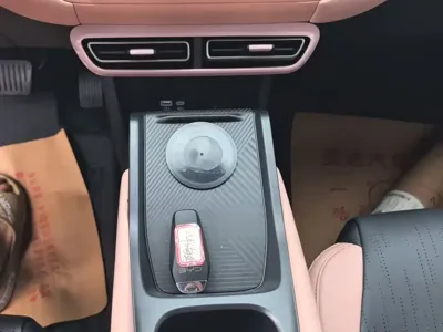 BYD Seagull