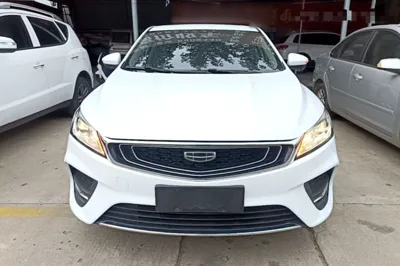 Geely Auto Binray
