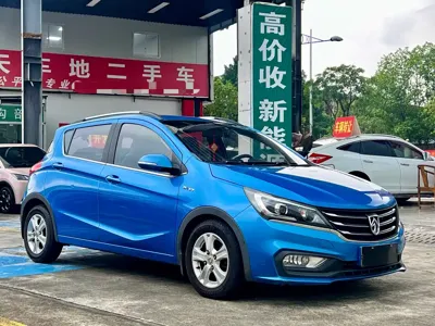Baojun 310