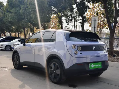 Nio Firefly