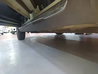 NETA Neta V