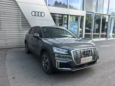Audi Q2L e-tron