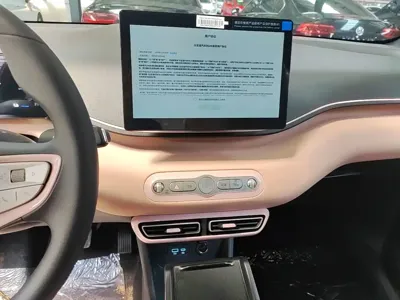 BYD Seagull