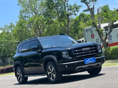 Haval Big Dog