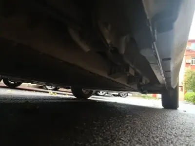 NETA Neta V