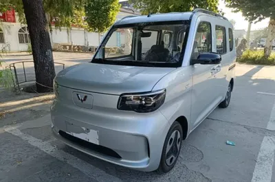 Wuling Zhiguang New Energy