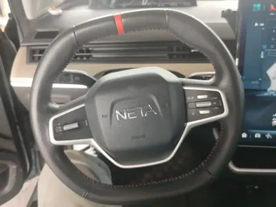 NETA Neta V