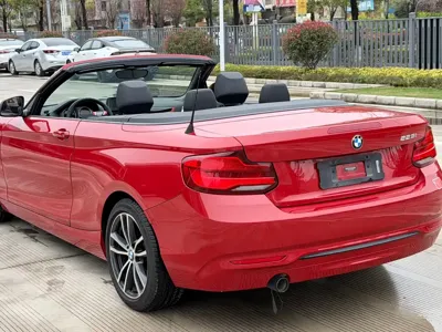 BMW 2 Series (Import)