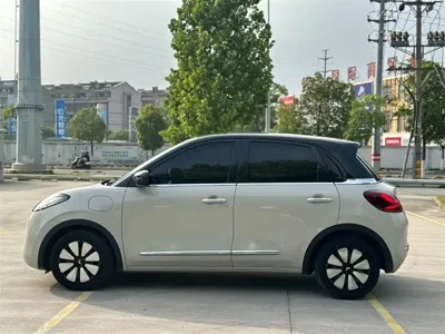 Wuling Bingo