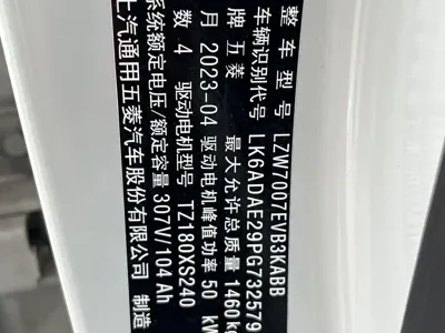 Wuling Bingo