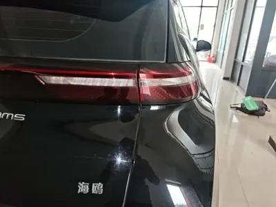 BYD Seagull