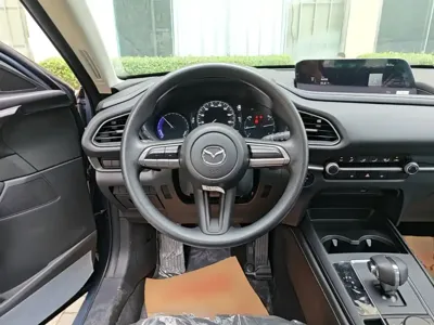 Mazda CX-30 EV