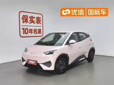 BYD Seagull