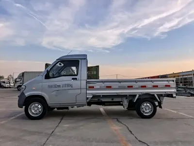 Wuling Zhiguang Mini Truck