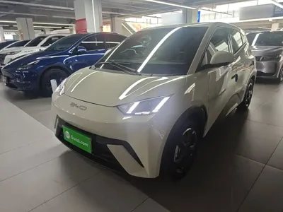 BYD Seagull