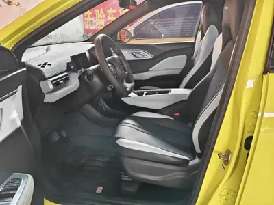 BYD Seagull